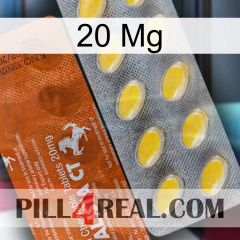 20 Mg 42